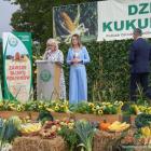 zdjęcie nr 45