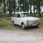 zdjęcie nr 230