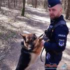 Fotka nr 2 z 6