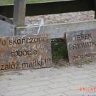 zdjęcie nr 8