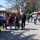 zdjęcie nr 33