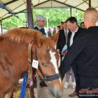 zdjęcie nr 18