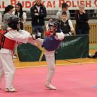 Fotka nr 4 z 42