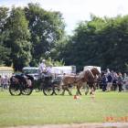 zdjęcie nr 92