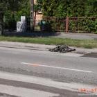 zdjęcie nr 8