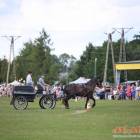 zdjęcie nr 70