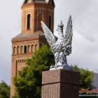 zdjęcie nr 37