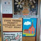 zdjęcie nr 17