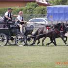 zdjęcie nr 73