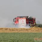 Fotka nr 4 z 14