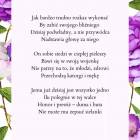 zdjęcie nr 20