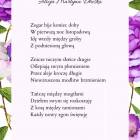 zdjęcie nr 27