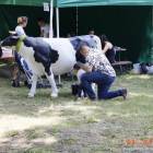zdjęcie nr 99