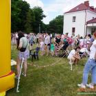 zdjęcie nr 42