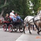 zdjęcie nr 78