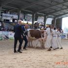 zdjęcie nr 178