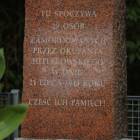 zdjęcie nr 46