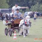 zdjęcie nr 70
