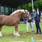 zdjęcie nr 78
