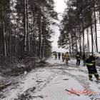 Fotka nr 3 z 10