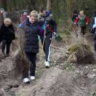 zdjęcie nr 7