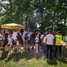 zdjęcie nr 45