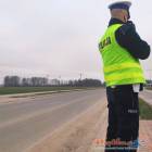 Fotka nr 1 z 3