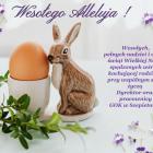 zdjęcie nr 10