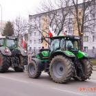 Fotka nr 5 z 68