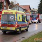Fotka nr 5 z 23