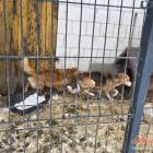 Fot. KPP w Zambrowie