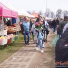 zdjęcie nr 17