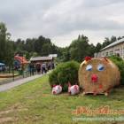 zdjęcie nr 11