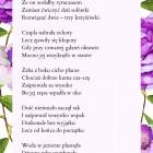 zdjęcie nr 17