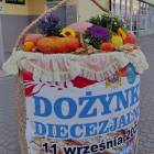 Fotka nr 5 z 10