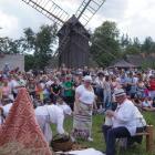 zdjęcie nr 210