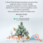Fotka nr 3 z 9