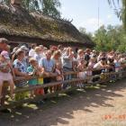 zdjęcie nr 88
