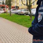 zdjęcie nr 13