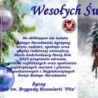 zdjęcie nr 13