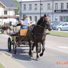 Fotka nr 5 z 193