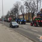 zdjęcie nr 30