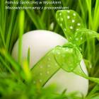 zdjęcie nr 9
