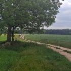 zdjęcie nr 126