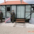 Fotka nr 4 z 248