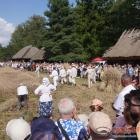 zdjęcie nr 145