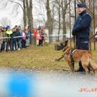 zdjęcie nr 18