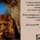 zdjęcie nr 11