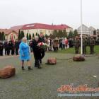 zdjęcie nr 14