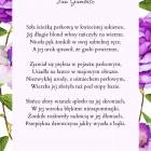 zdjęcie nr 21